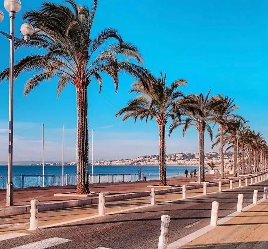 Terrasse Vue A 50 M Parking شقة *