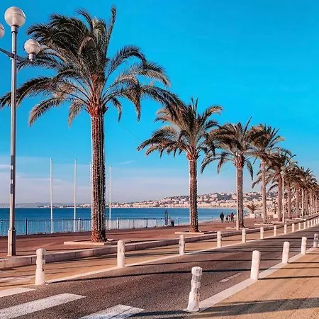 Terrasse Vue A 50 M Parking 아파트 *